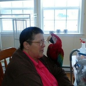 Meet your Posher, Maureen